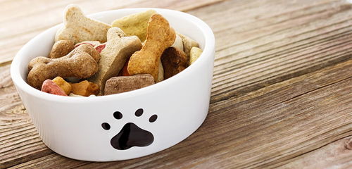 為愛寵保駕護(hù)航 全面解讀寵物食品檢驗(yàn)測試服務(wù)